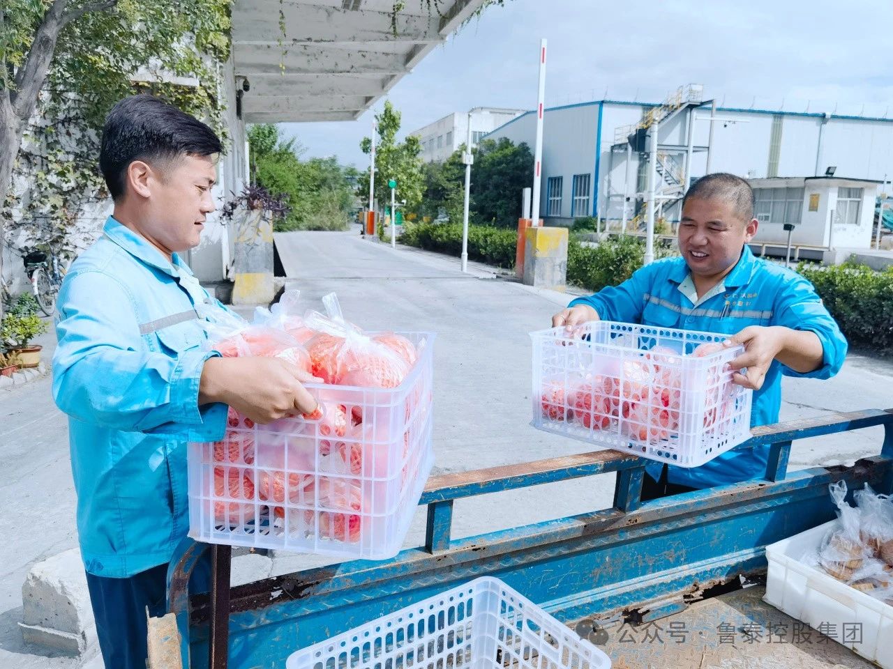 1727312099799057.jpg 微信图片_20240926085318.jpg